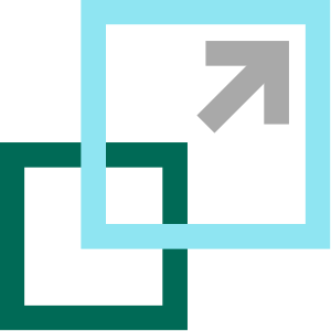 Scale Icon