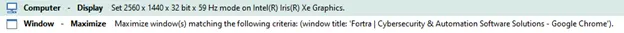 Computer - Display and Window - Maximize Native Actions