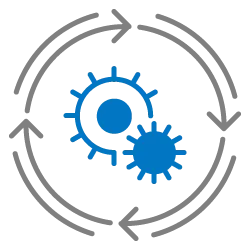 Automate Upgrade