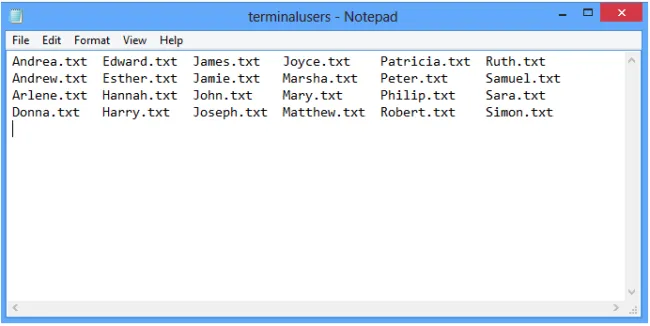 Action Properties Window - Terminal users window 